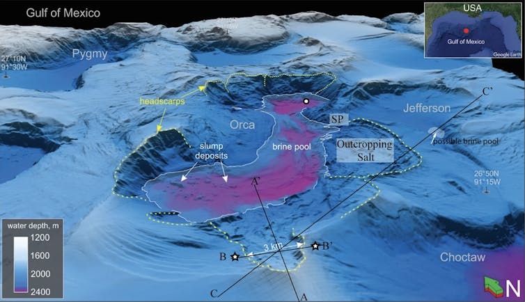A topographic map shows brine pools in the Gulf floor.