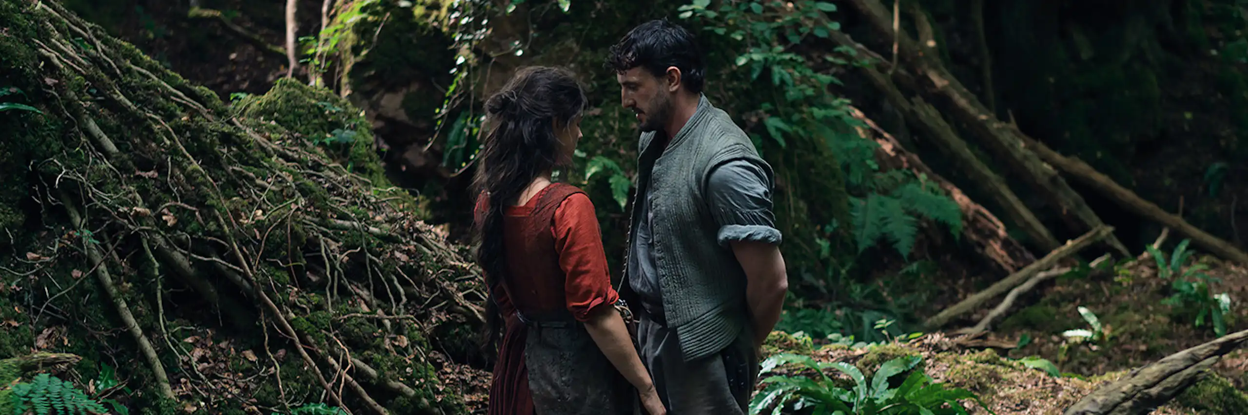 Una pareja se mira en el bosque.