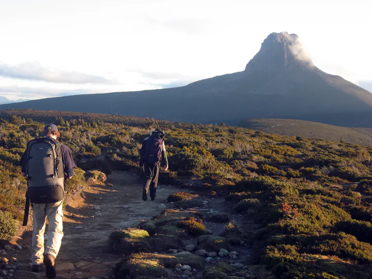 Hikers walk along Tasmania's Overland Track with Barn Bluff in the distance.