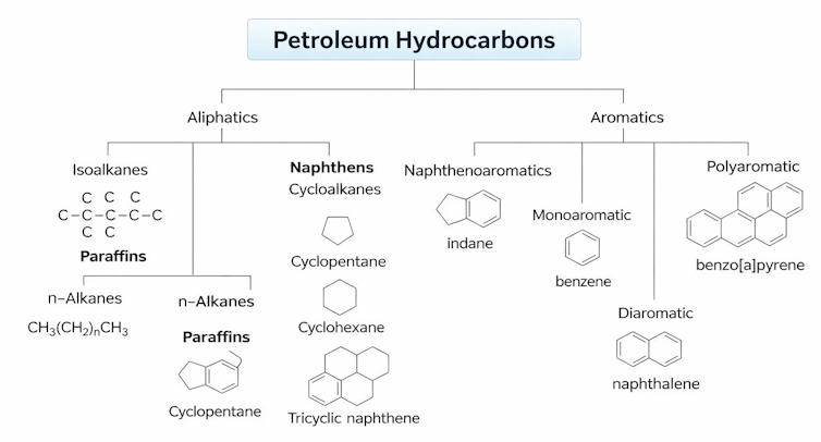 El petróleo no es sólo combustible: el conflicto con Irán podría perturbar los mercados de todo, desde plásticos hasta fertilizantes 1 Un diagrama que muestra varios tipos diferentes de moléculas de hidrocarburos derivadas del petróleo.