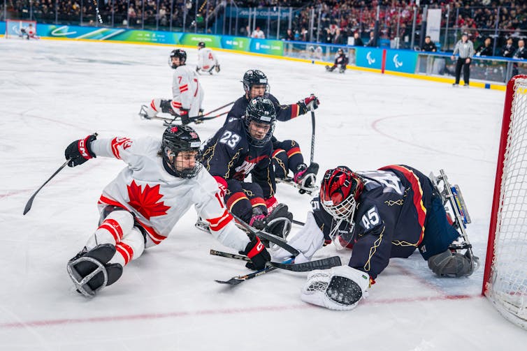Los jugadores de Para hockey compiten sobre el hielo.