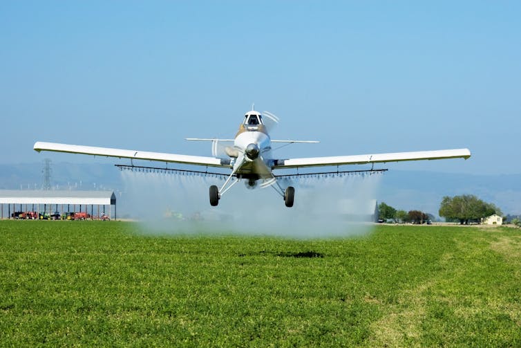 A plane flies lower over a field spraying a liquid from a bar of sprayers.