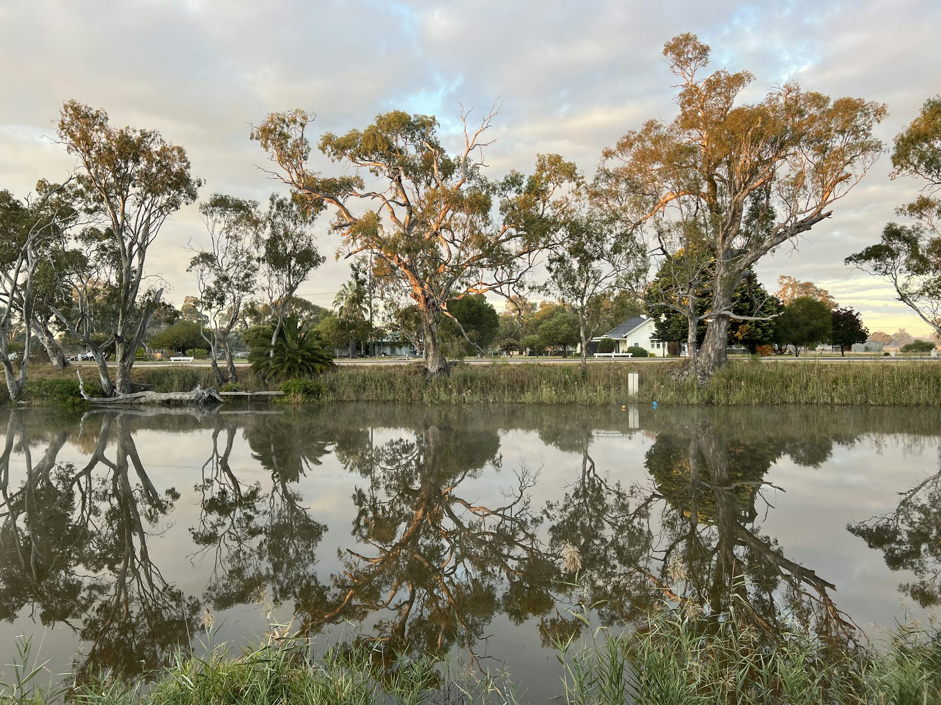 ‘I lost hope in humanity, but I now call myself human’: what refugees told us about settling in regional Australia