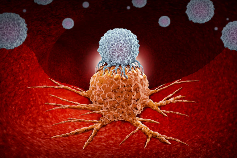 A digital drawing depicting a T-cell immune cell attacking a cancer cell in the body.
