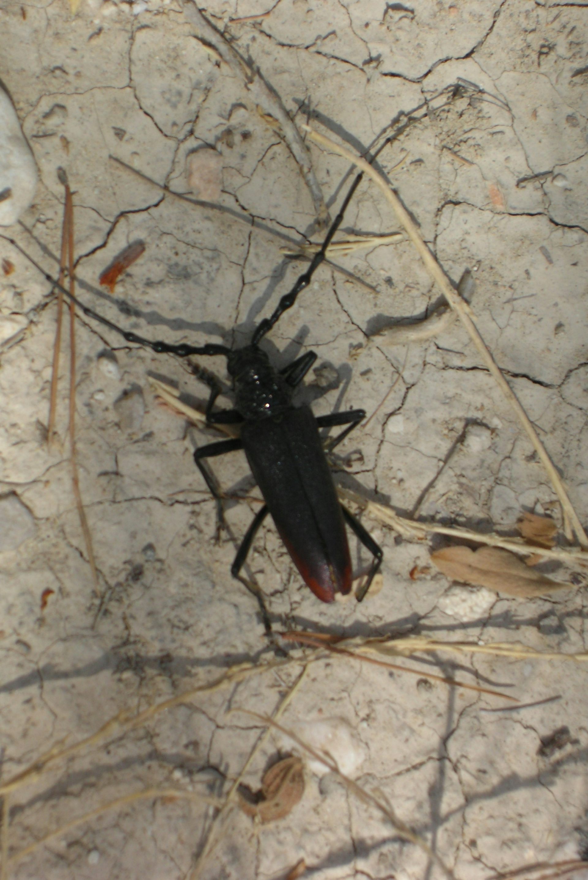 file 20260311 71 mlyuji.jpg?ixlib=rb 4.1