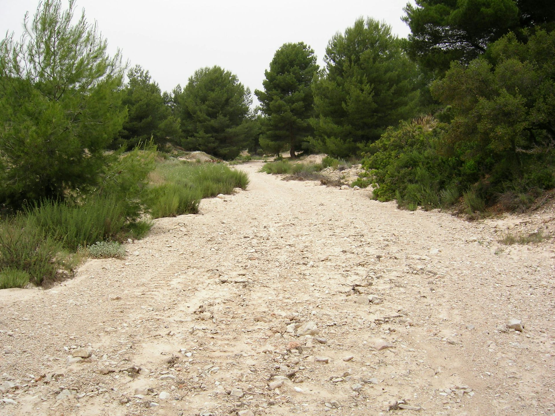 file 20260311 71 kjltal.jpg?ixlib=rb 4.1