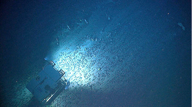 A submersible shines a light on many potato-sized lumps on the seafloor.