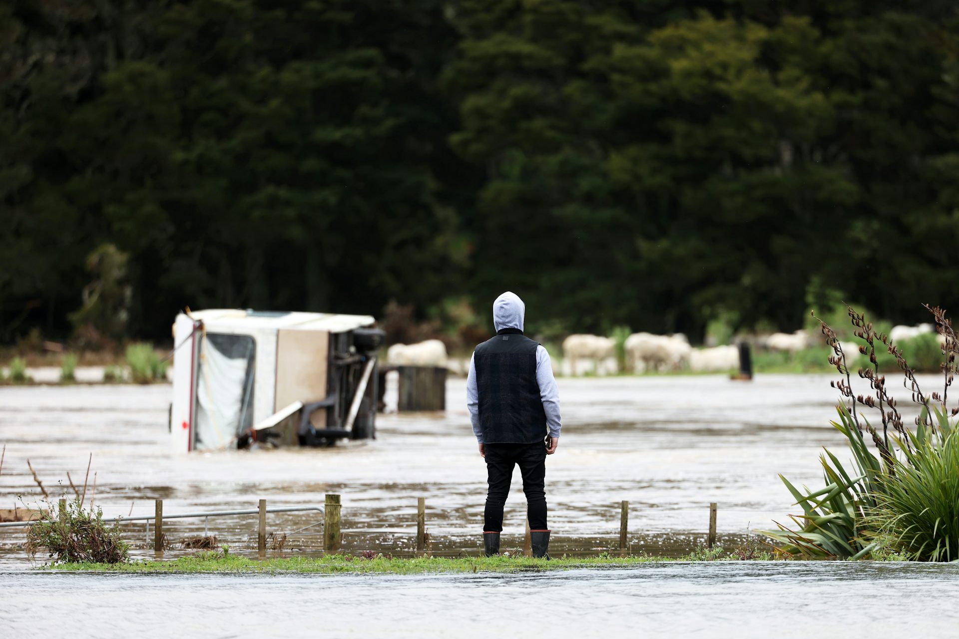 ‘Disaster inertia’: why must NZ keep relearning the same lessons from extreme events?