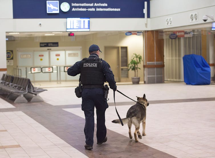 Los perros también pueden sufrir una sobredosis: el entrenamiento con naloxona puede salvar la vida tanto de las mascotas como de las personas 2 Un policía con un pastor alemán en la terminal del aeropuerto, visto desde atrás