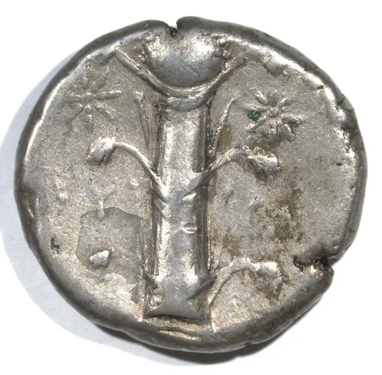 Silphium is depicted on this ancient coin.