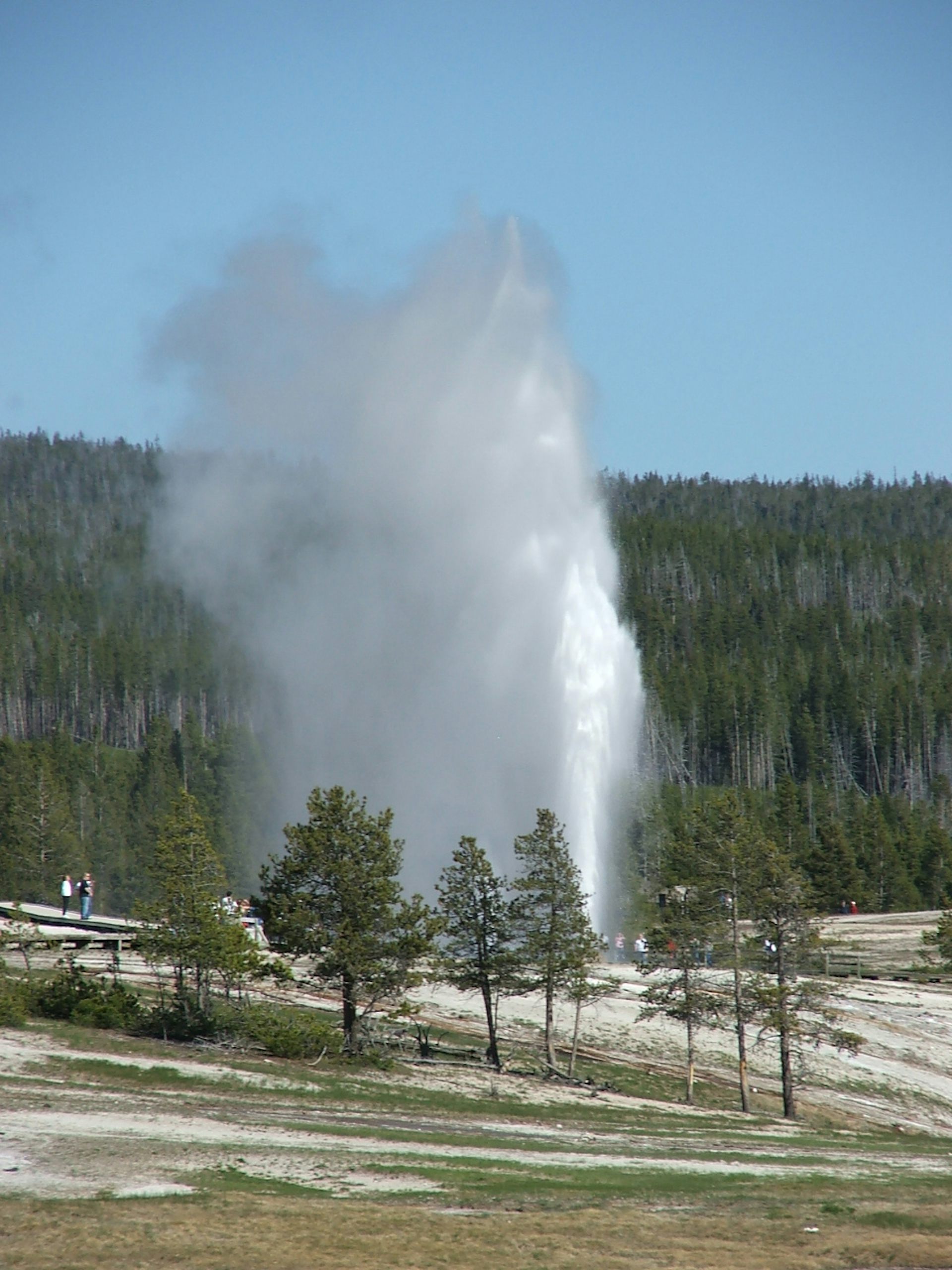 photo of a large geyser
