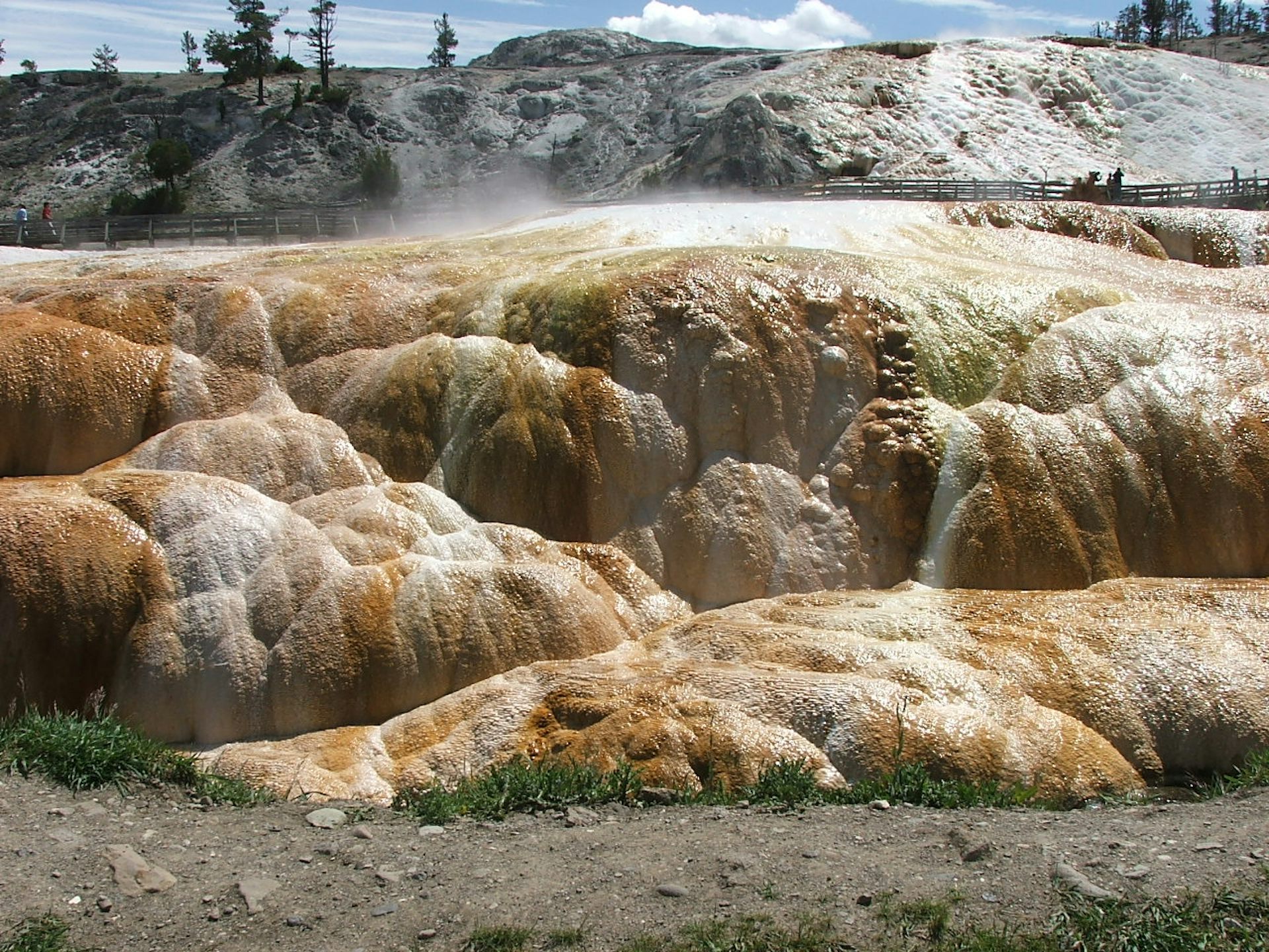 file 20260312 63 kdoeb0.JPG?ixlib=rb 4.1