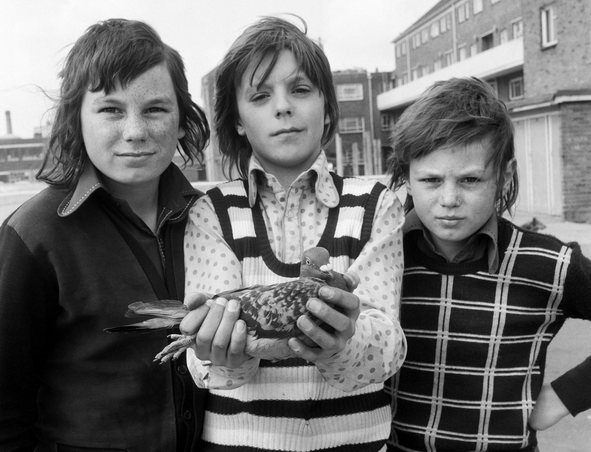 Three boys holding a pigeon in a black and white photo