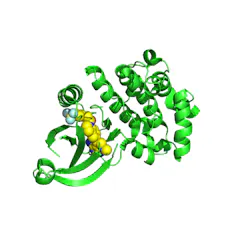 3D model of a cluster of green spirals and ribbons, a clump of yellow spheres near the center