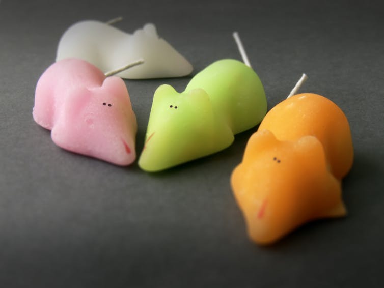 Small brightly colored mice made out of sugar.