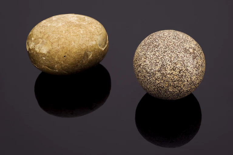 Dos piedras con forma de huevo