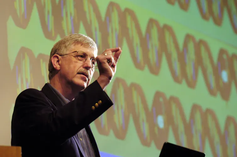 Un hombre caucásico con bigote y gafas da un discurso mientras está de pie frente a una presentación que muestra los cromosomas.