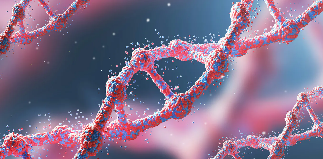 Claims about genetic superiority ignore the real drivers of human inequality Claims about genetic superiority ignore the real drivers of human inequality