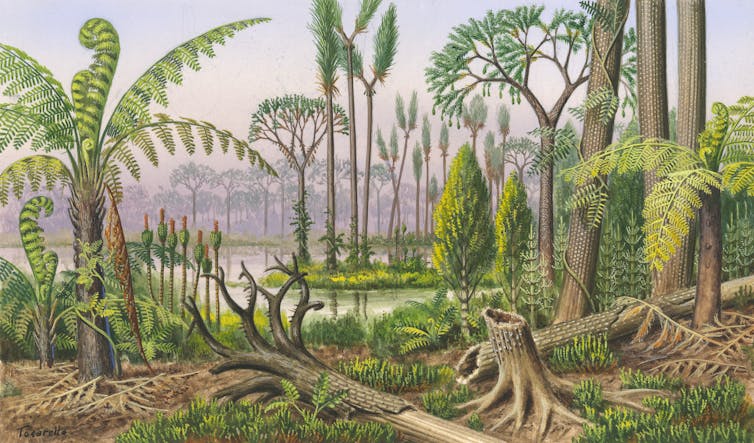 ¿Cuál fue la primera planta del mundo? 3 Representación artística de un bosque prehistórico con helechos y otras plantas de aspecto inusual.