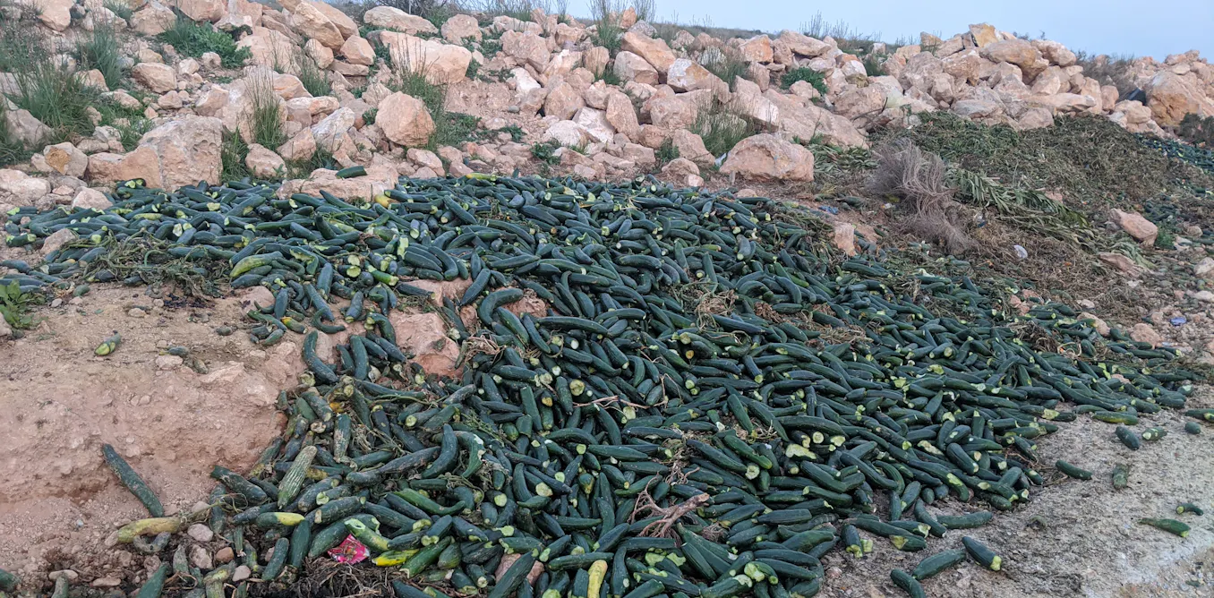 Toneladas de frutas y verduras pudriéndose en el campo, otro síntoma de un modelo agrario insostenible