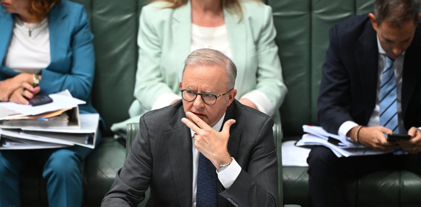 Polls show federal Labor losing support; One Nation looking strong in Farrer seat poll