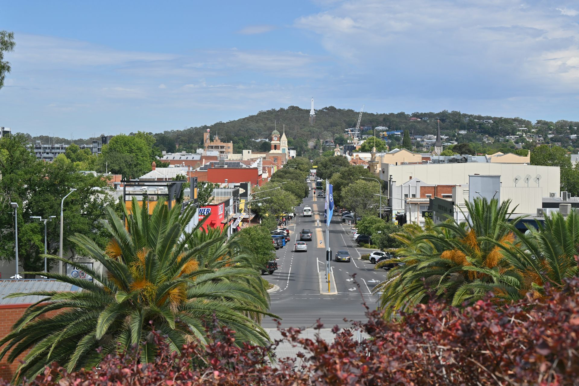Politics with Michelle Grattan: why Farrer is a key test for One Nation vs the Coalition