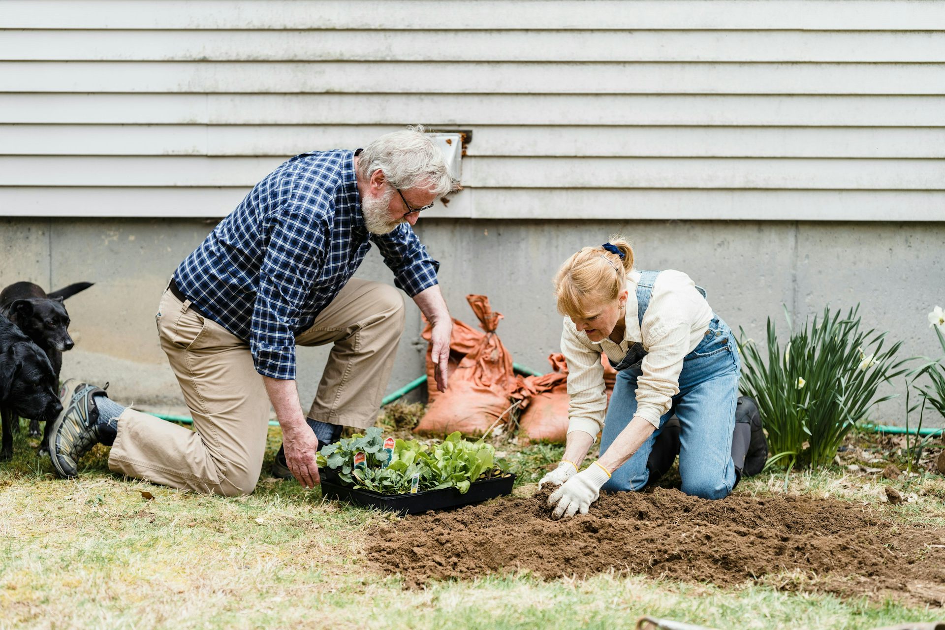An older couple doing gardening
