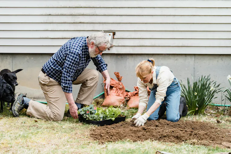 An older couple doing gardening
