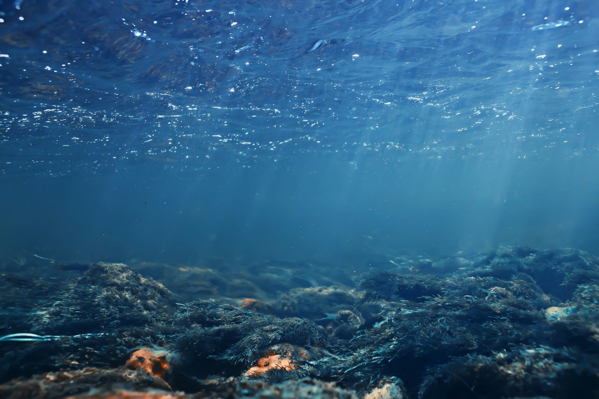 Vue sous l'eau d'un fond de mer jonché de déchets.