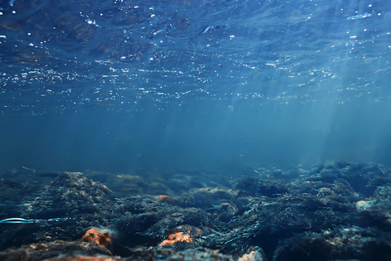 Vue sous l'eau d'un fond de mer jonché de déchets.