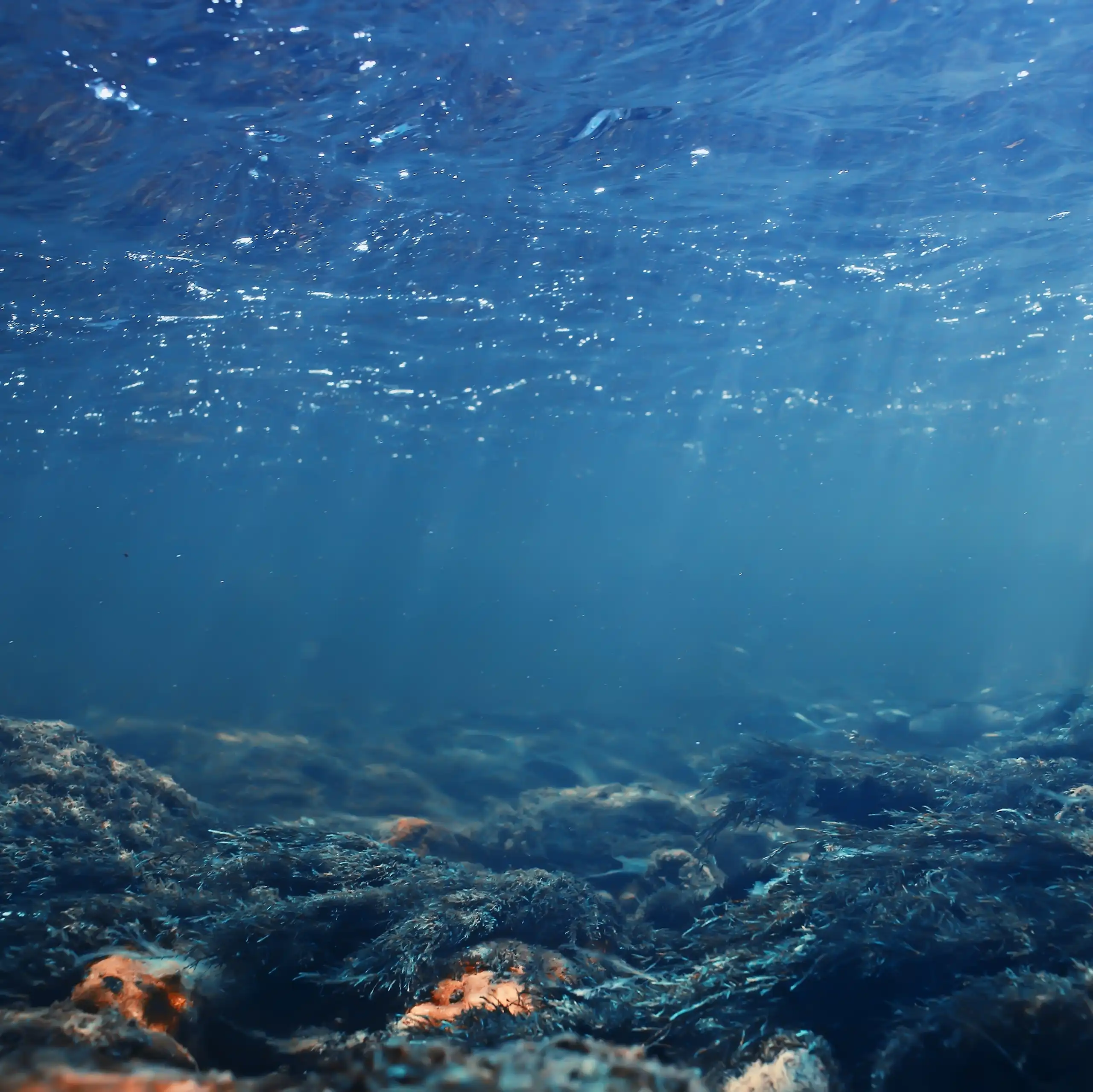 Vue sous l'eau d'un fond de mer jonché de déchets.