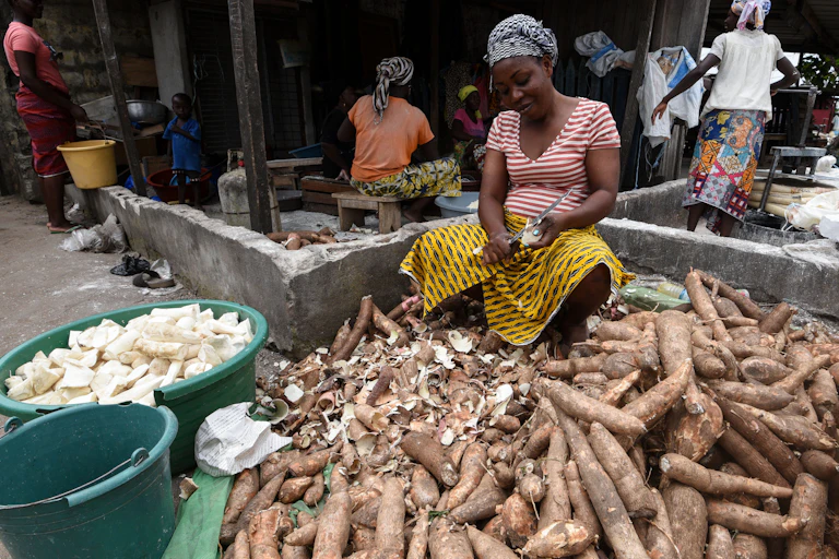 A woman sits outside peeling the brown skins off a tuber, next to a pile of the tubers. Peeled ones are in a separate bucket.