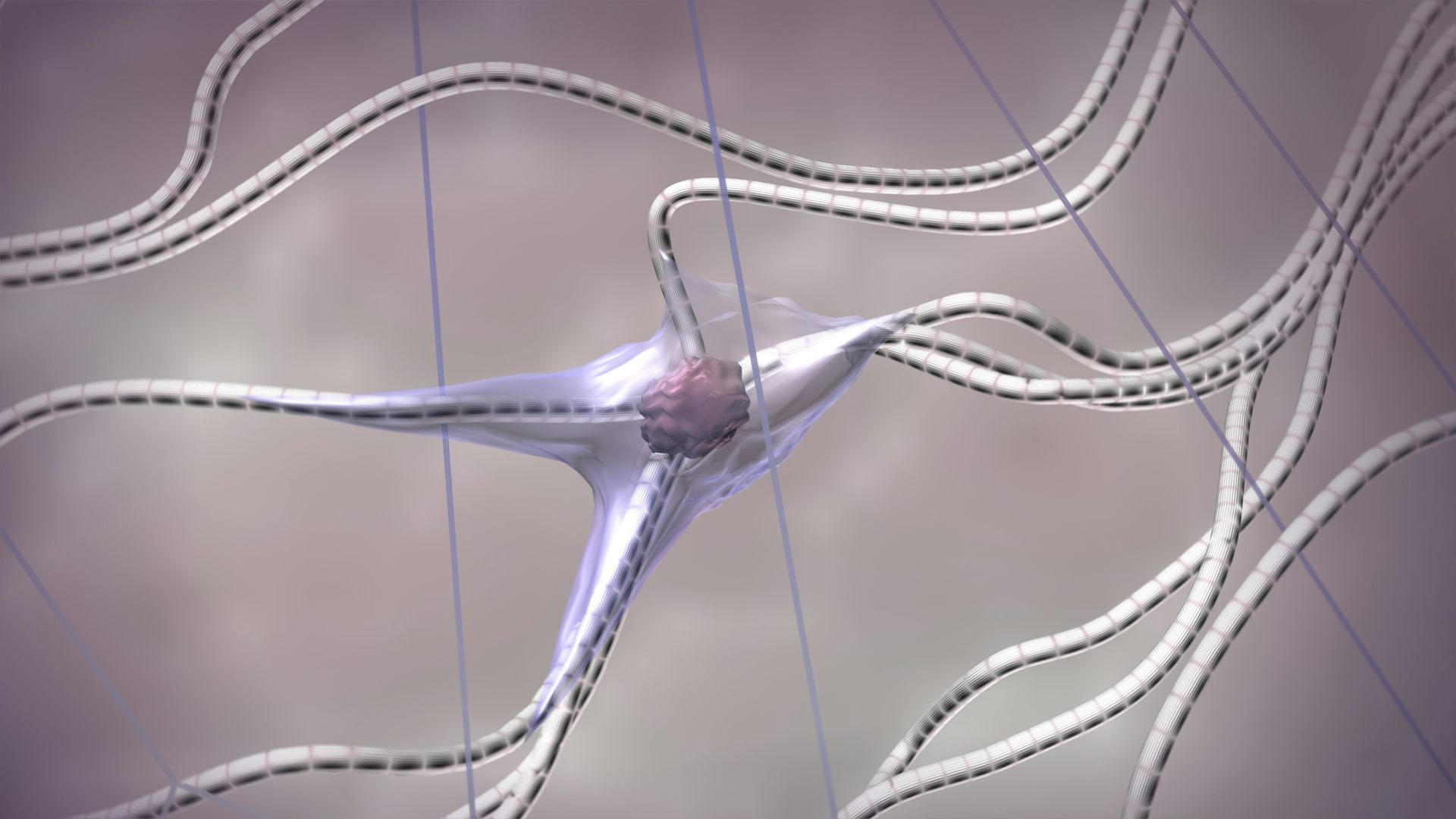 Does menopause cause a ‘collagen cliff’? What you need to know