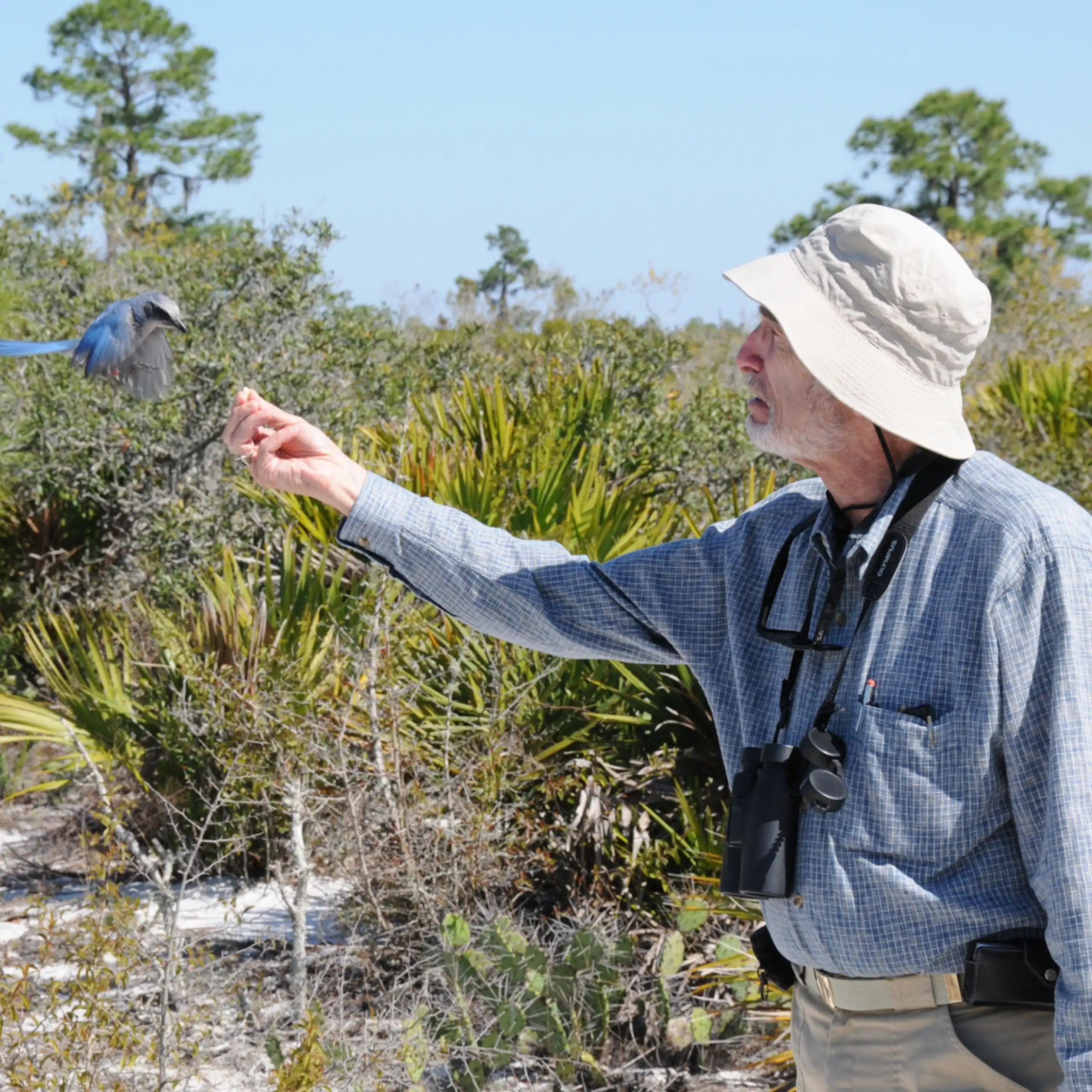 A man in a chambray shirt and sun hat stands outdoors, feeding a bird from his hand.