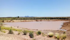 A rural dam of brown, muddy water, about the size of half a soccer field and not very deep looking.
