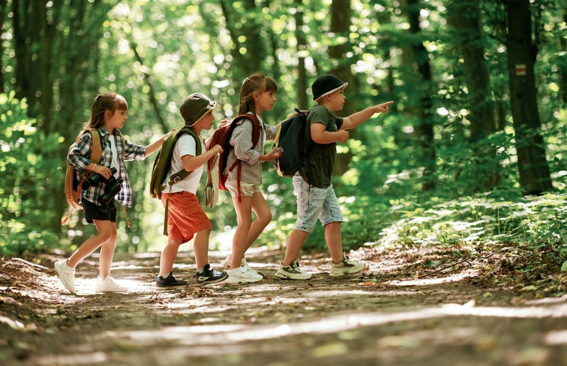 Un groupe d'enfants en sortie dans une forêt. 