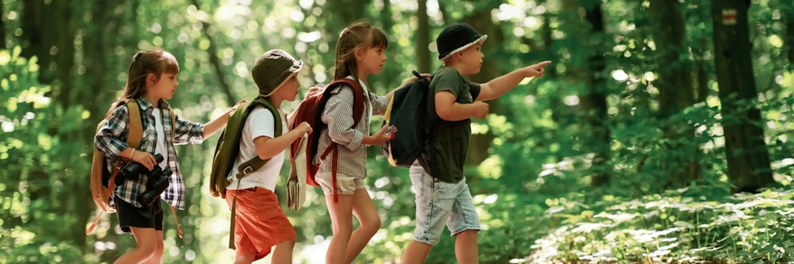 Un groupe d'enfants en sortie dans une forêt.