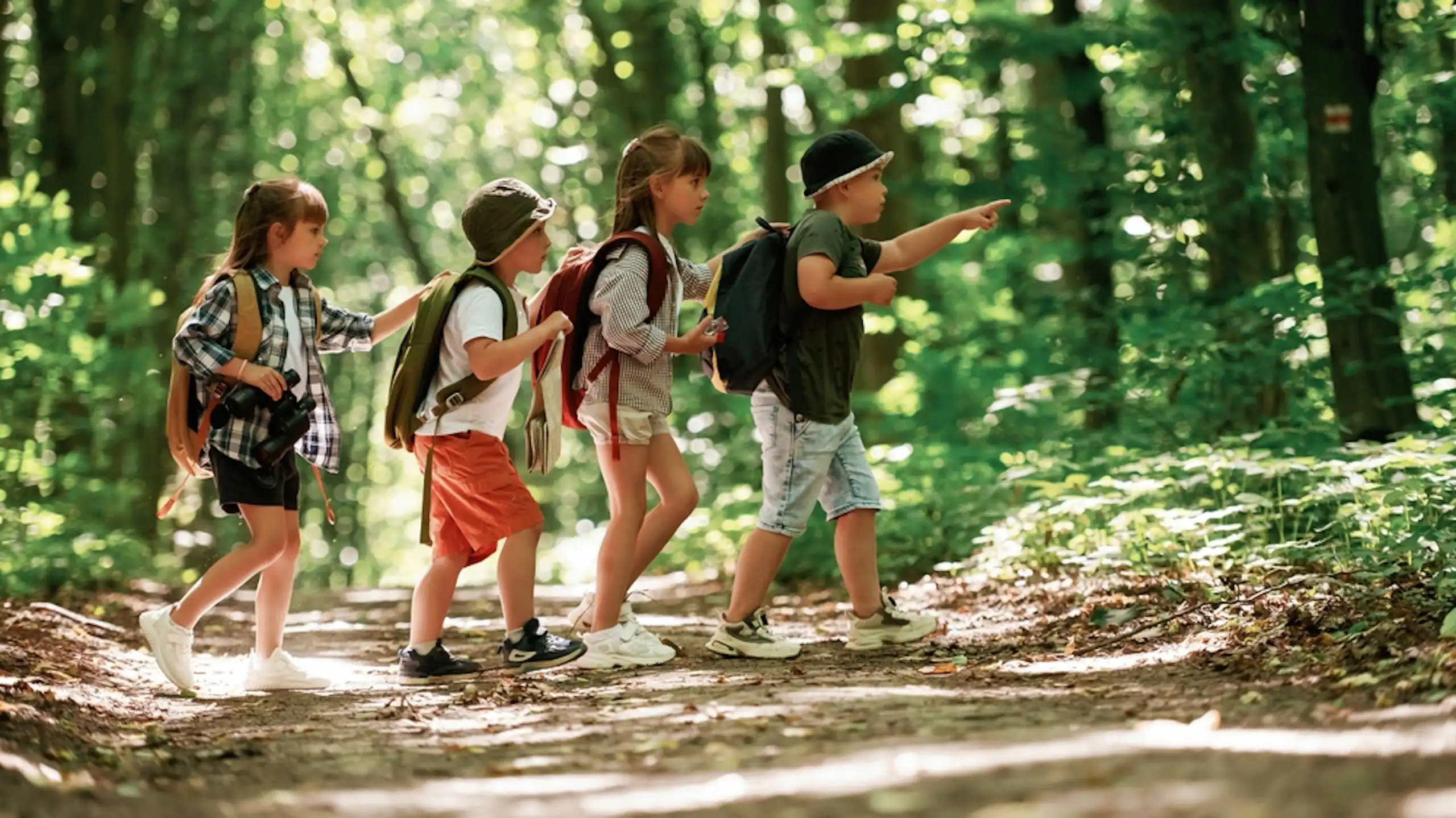 Un groupe d'enfants en sortie dans une forêt.