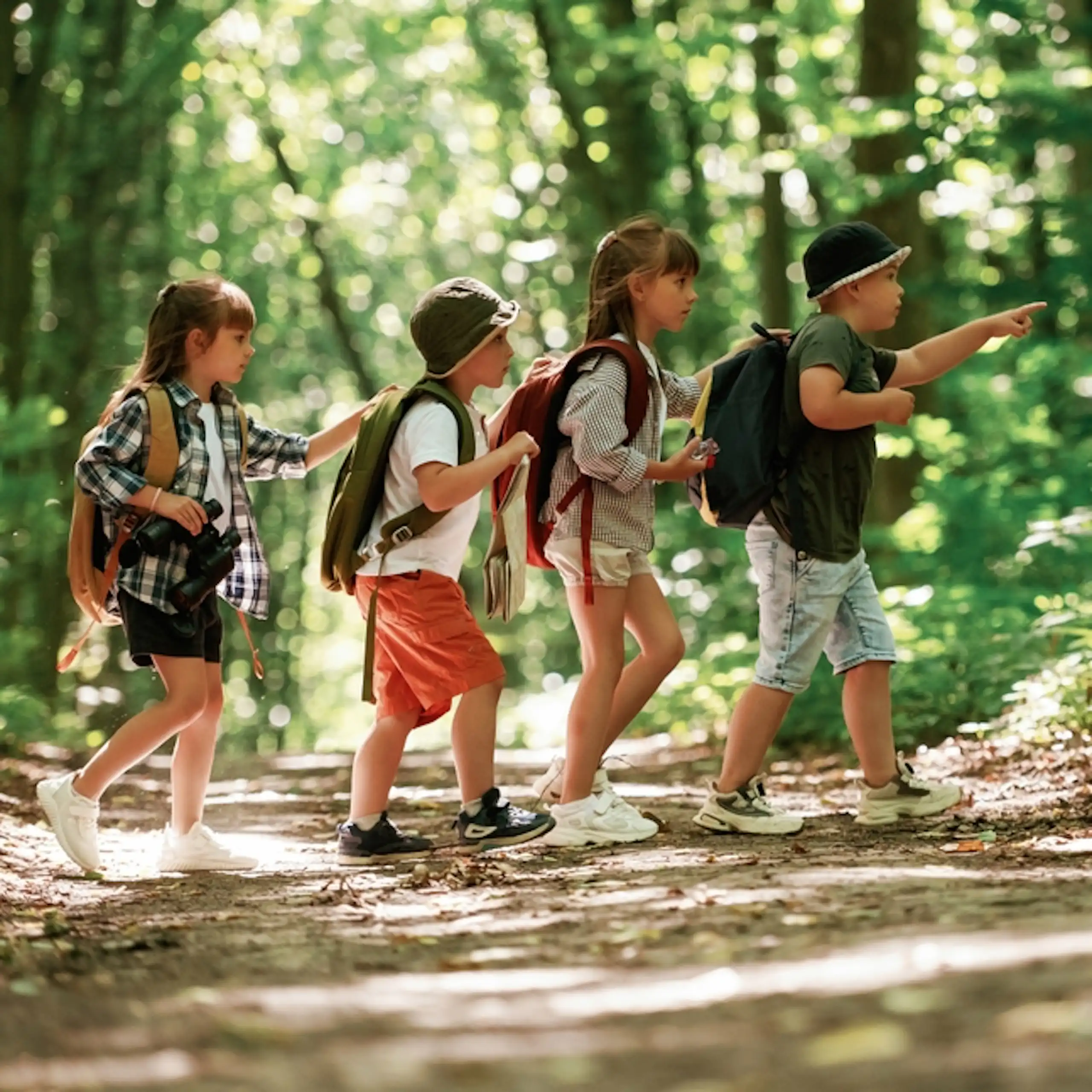 Un groupe d'enfants en sortie dans une forêt.