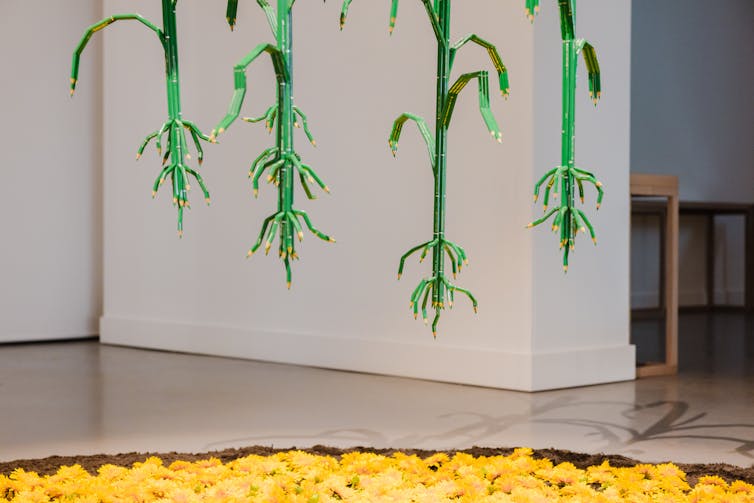 Gallery image: corn stalks made out of pencils.