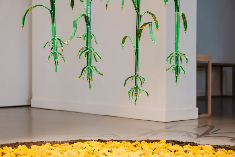 Gallery image: corn stalks made out of pencils.