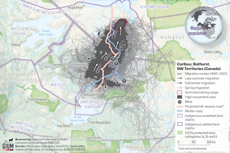 Los caribúes migratorios de Canadá están amenazados. ¿Actuaremos antes de que sea demasiado tarde? 3 un mapa de parte de Nunavut que muestra la distribución de las manadas de caribúes