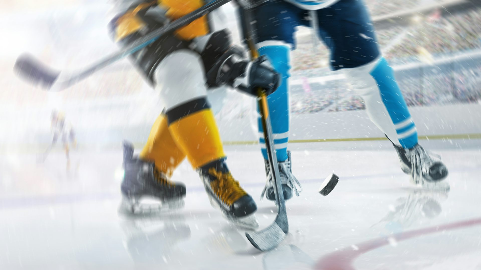 Dos jugadors de l'hoquei sobre gel empenten un disc amb els pals.