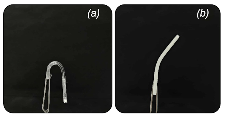 Leisure Fishing and Plastic Air pollution: Growing Cushy Baits That Truly Disappear 2 file 20260317 57 cc1dyt.png?ixlib=rb 4.1