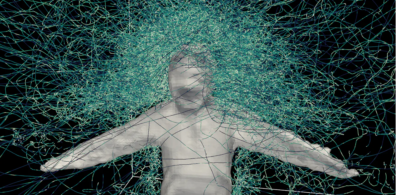 Hundreds of hungry mosquitoes, a student volunteer and a mesh suit helped us figure out how these deadly insects reach their targets - The Conversation image