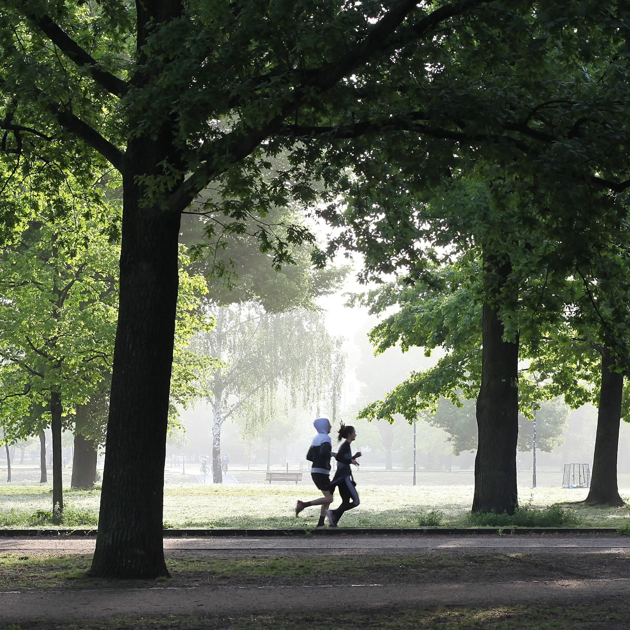 Un couple fait de la course à pied dans un parc