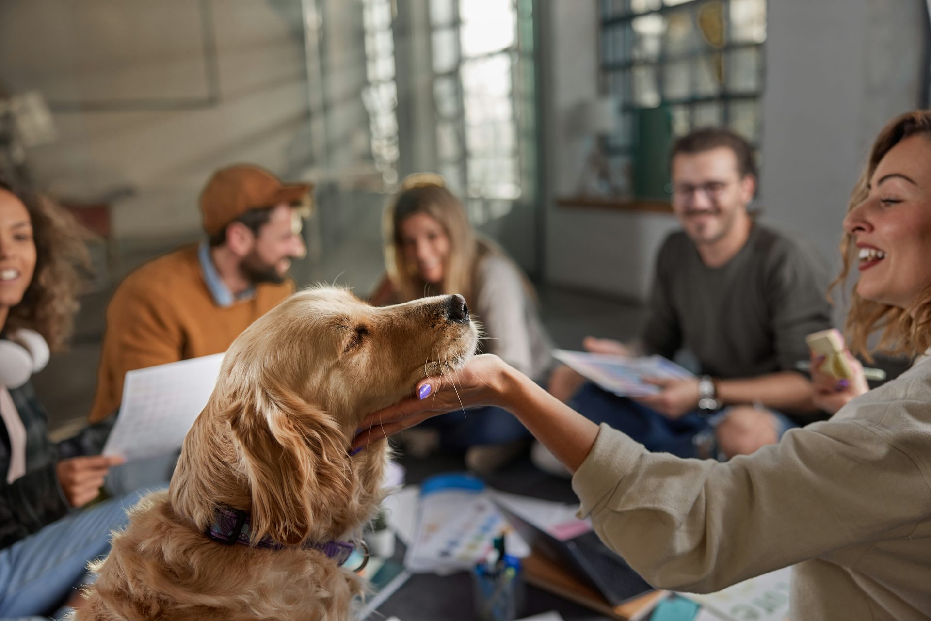Want a dog‑friendly workplace? Here’s what you’ll need to get right