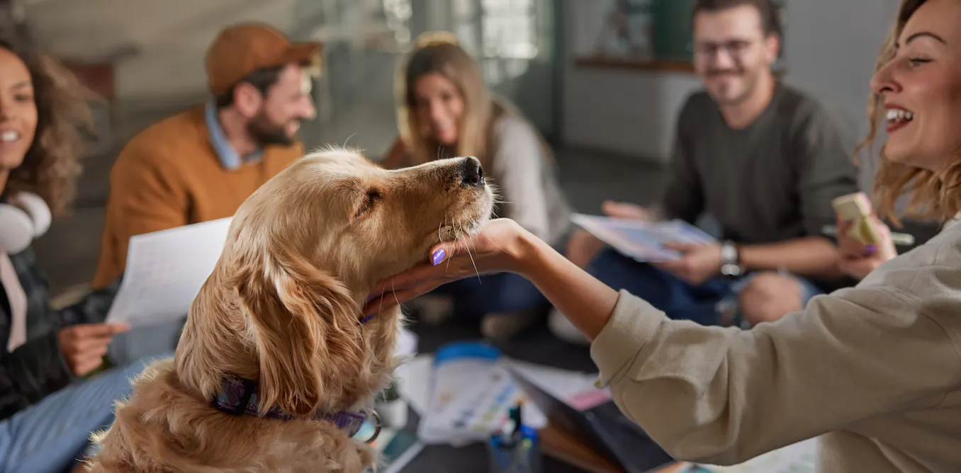 Want a dog‑friendly workplace? Here’s what you’ll need to get right