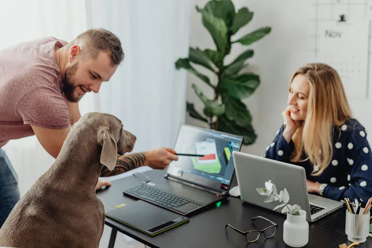 Woman and a man presenting image on a laptop screen to a dog