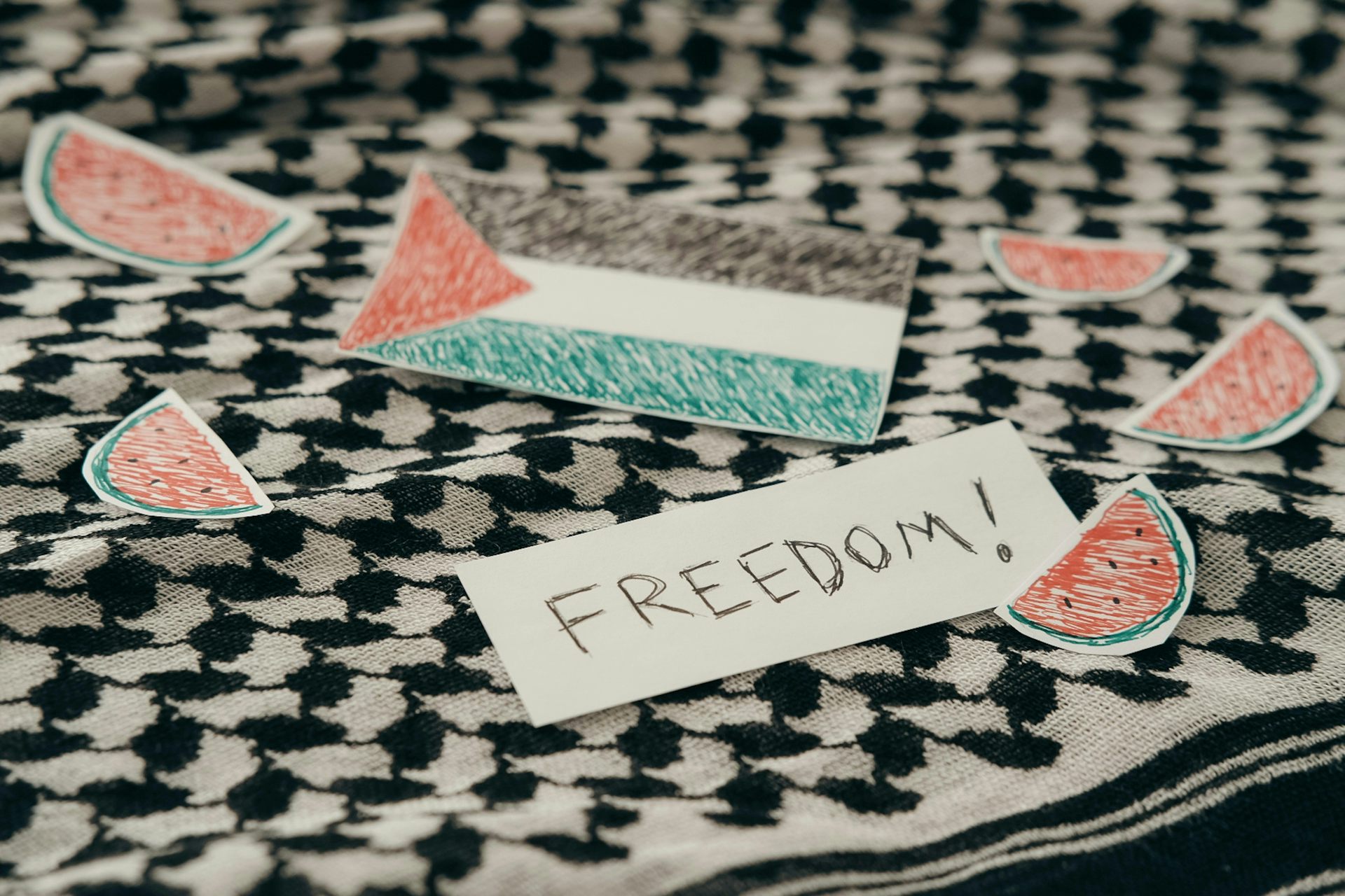 People studying to become teachers speak about Islamophobia and anti-Palestinian racism in Ontario schools